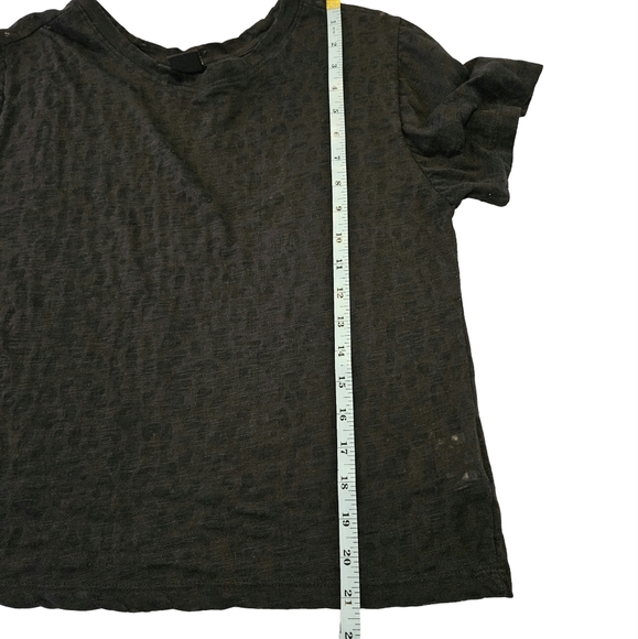 Semi Sheer Cropped Short Sleeve T Shirt, Black, Size 13 - Picture 7 of 7